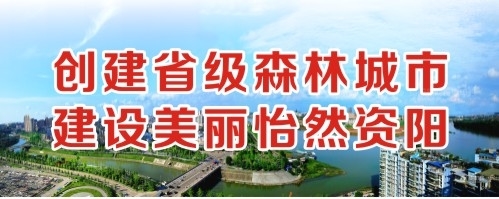 啊啊啊操骚逼视频创建省级森林城市 建设美丽怡然资阳